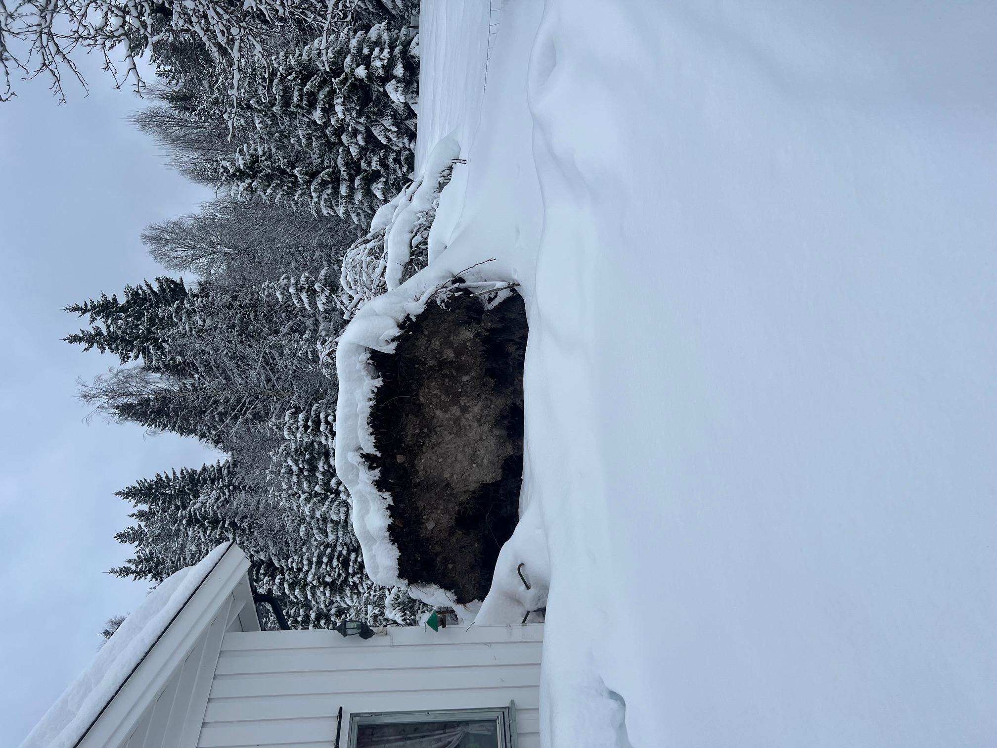 Stormskade — tre veltet over terrasse